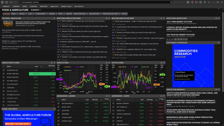 See and track the gas and LNG supply chain in real time.