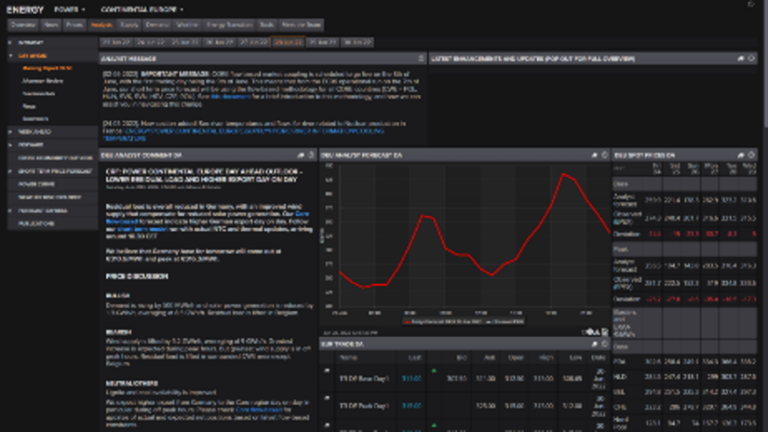 Make decisions today and prepare for tomorrow with daily spot price forecasts and analyst commentary.